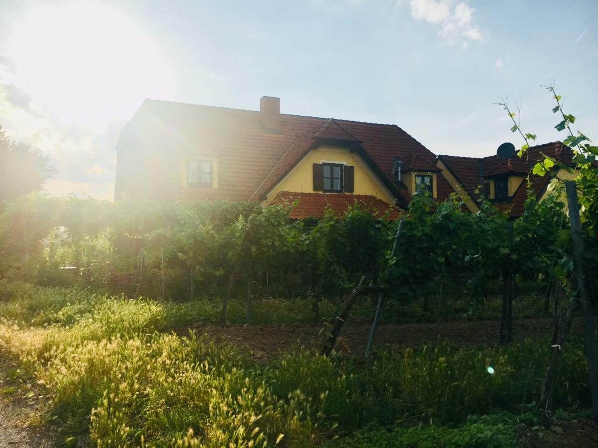Landhaus Weinblick Rohrendorf bei Krems Extérieur photo